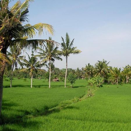Green Field Hotel And Bungalow Ubud Exterior foto