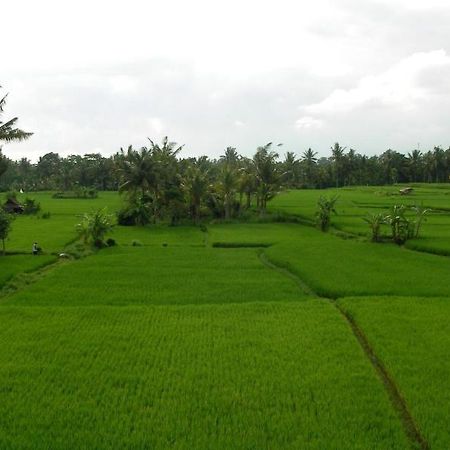 Green Field Hotel And Bungalow Ubud Exterior foto